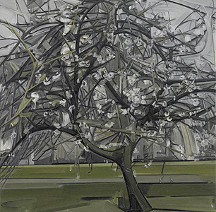  īױ <>, 2013